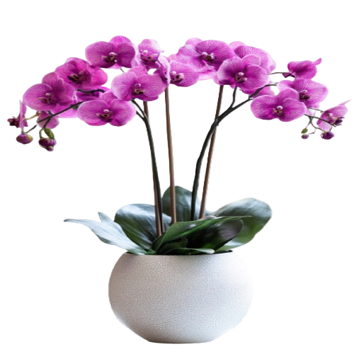 30cm plant pot Dojo Porcelain Modern Indoor Plant Pot With Saucer Sets  Chive US Wholesale