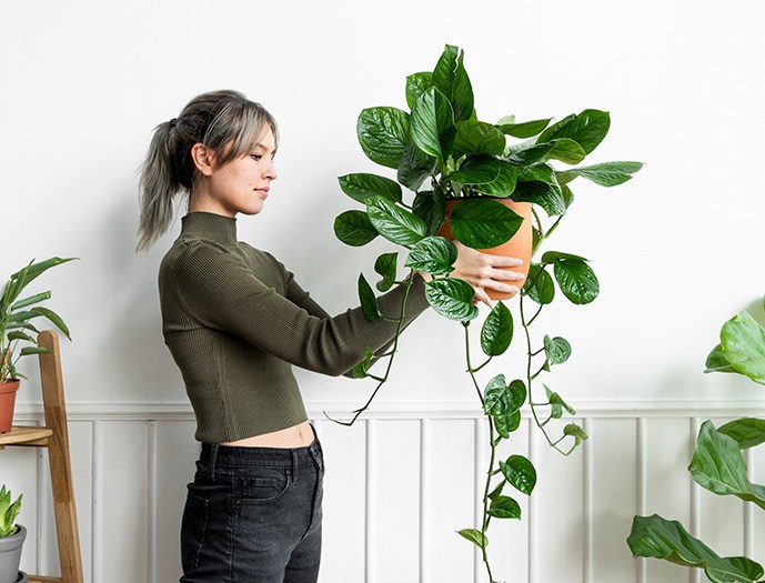 🪴 Why Premium Plants Are Worth the Investment