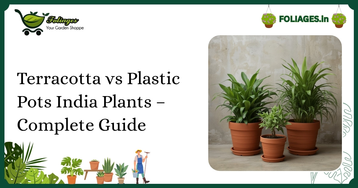 Terracotta vs Plastic Pots India Plants – Complete Guide