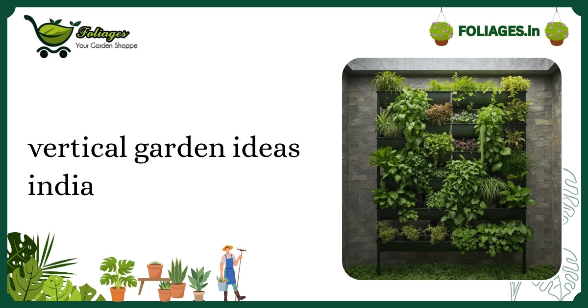 Vertical Garden Ideas India: A Complete Guide for Plant Lovers
