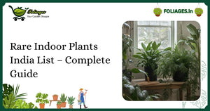 Rare Indoor Plants India List – Complete Guide for Collectors