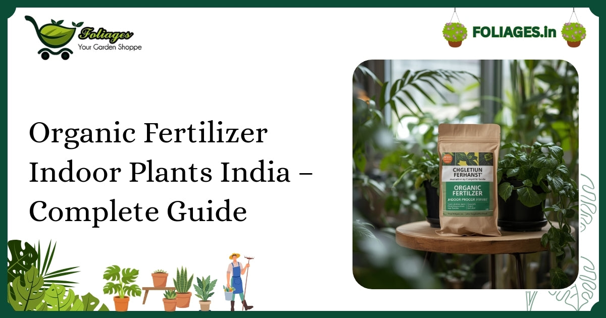 Organic Fertilizer Indoor Plants India – Complete Guide