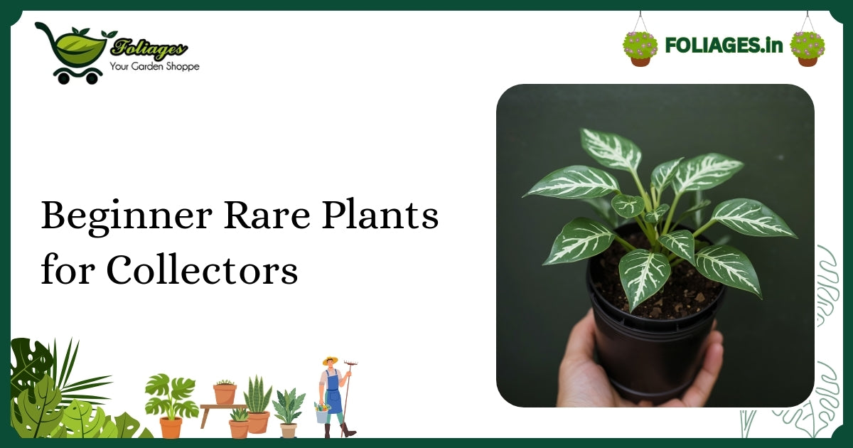 Beginner Rare Plants for Collectors: A Practical Guide for India