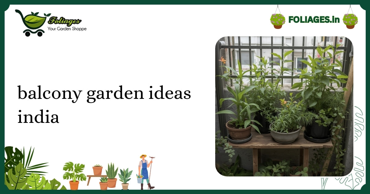 Balcony Garden Ideas India: A Practical Guide for Plant Lovers