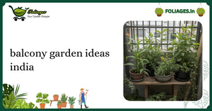 Balcony Garden Ideas India: A Practical Guide for Plant Lovers