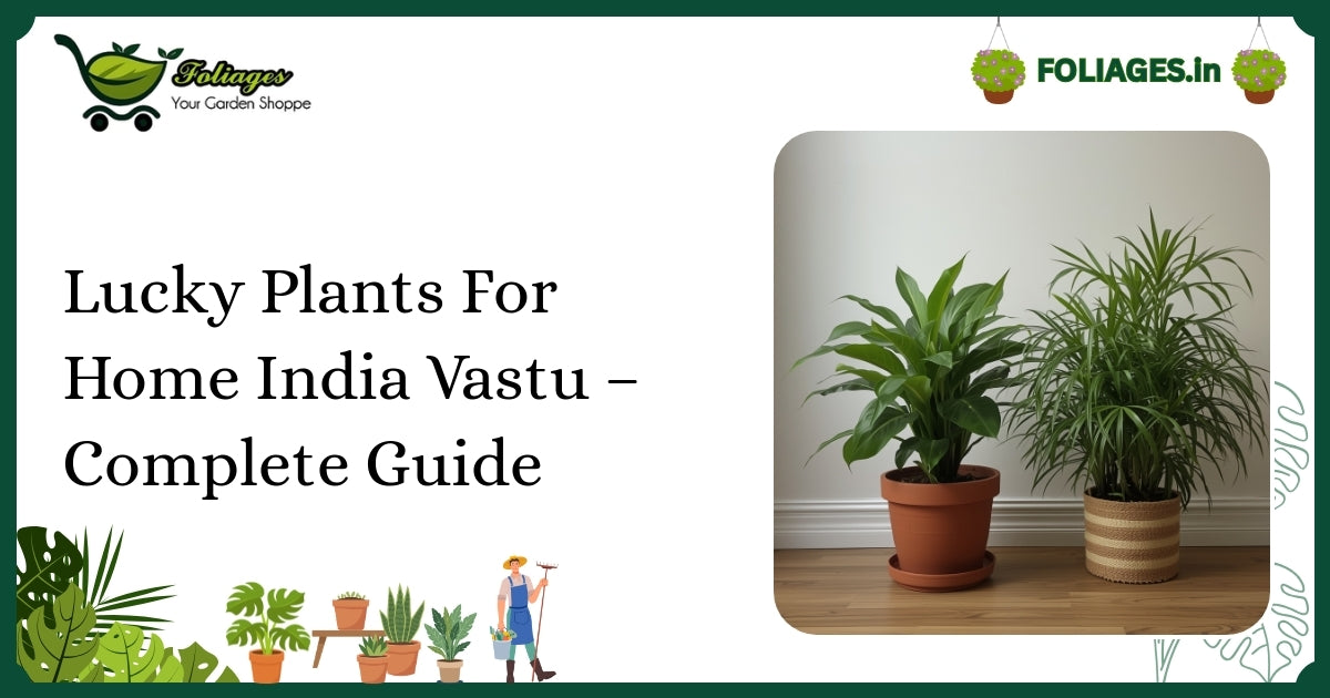 Lucky Plants For Home India Vastu – Complete Guide