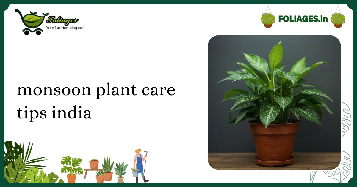 Monsoon Plant Care Tips India: Essential Guide for Every Grower