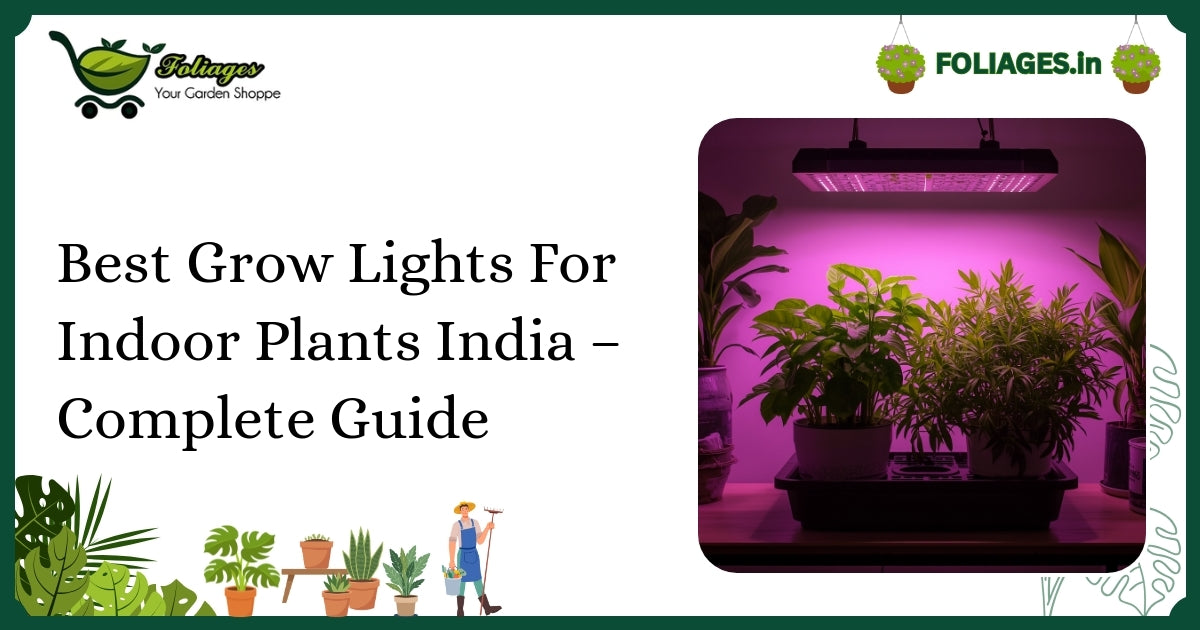 Best Grow Lights For Indoor Plants India – Complete Guide