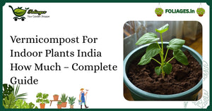 Vermicompost For Indoor Plants India How Much – Complete Guide