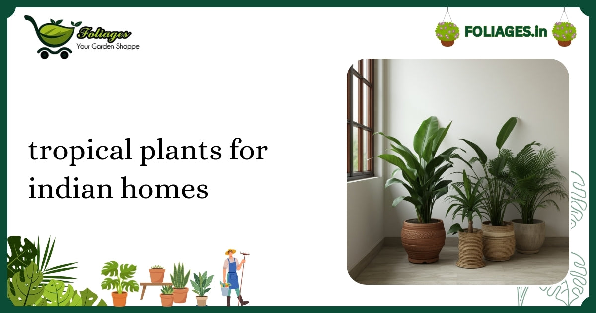 Tropical Plants for Indian Homes: Care, Varieties & Tips