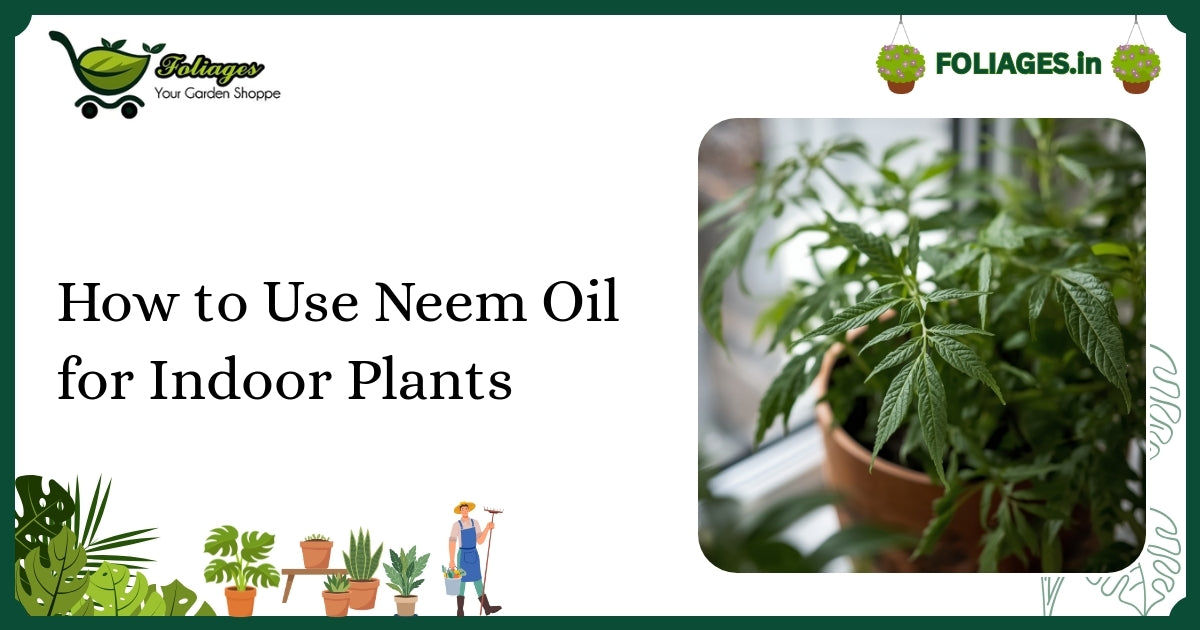 How to Use Neem Oil for Indoor Plants: A Practical Guide