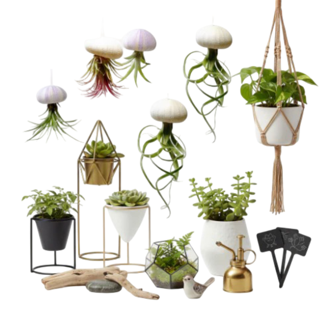 49 Items Collections – Foliages.in