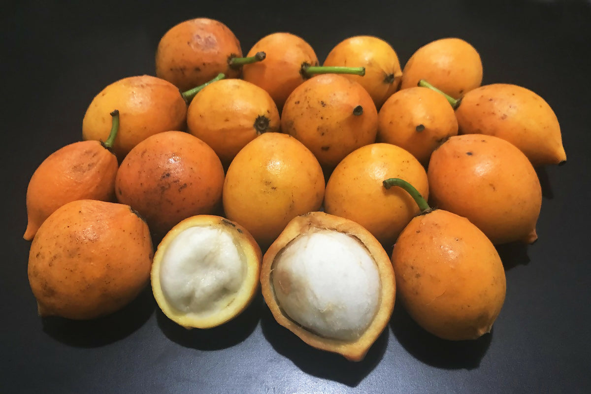 Bacupari Fruit Plants (Garcinia Brasiliensis)
