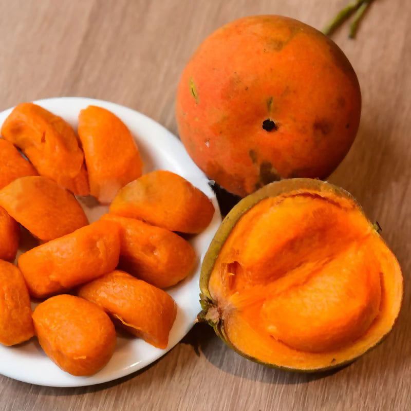 Garcinia Kola Live Plants (Garcinia Kola)