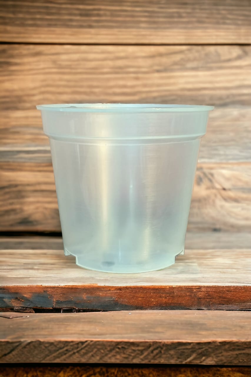 MAY CLEAR POT set of 5