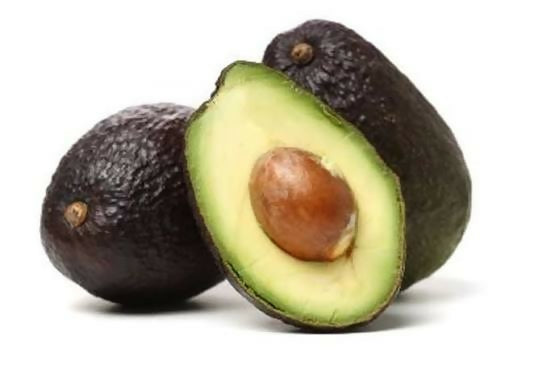 Carmen Hass Avocado Live Grafted – Live Grafted - Keyfarm Wayanad