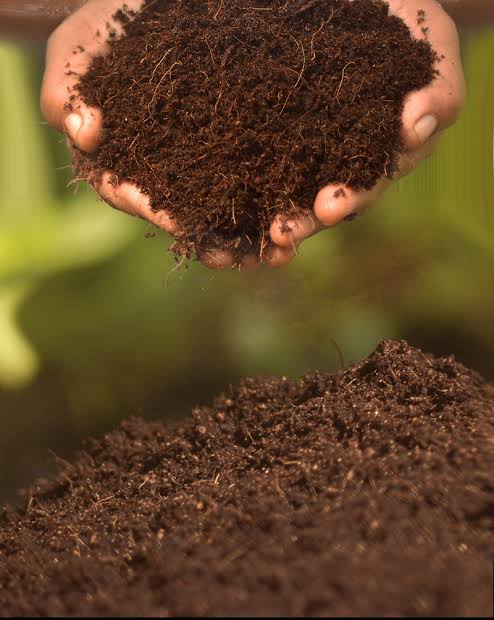 COCOPEAT COMPOST 2KG