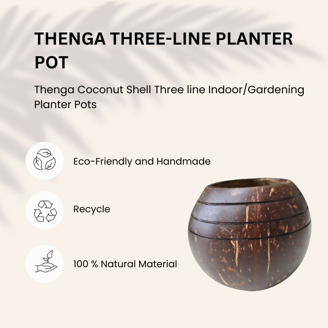 Thenga Coconut Shell Three line Planter Pots | Ideal for Succulents, Small Cacti, Herbs and Small Plants (Set of 1)