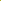 Sunflower plant - Seeds