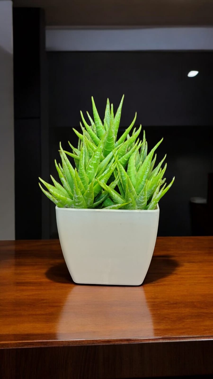 ARTIFICIAL PLANT 003