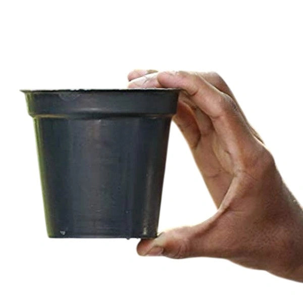 2.5 inch Round Black Pot