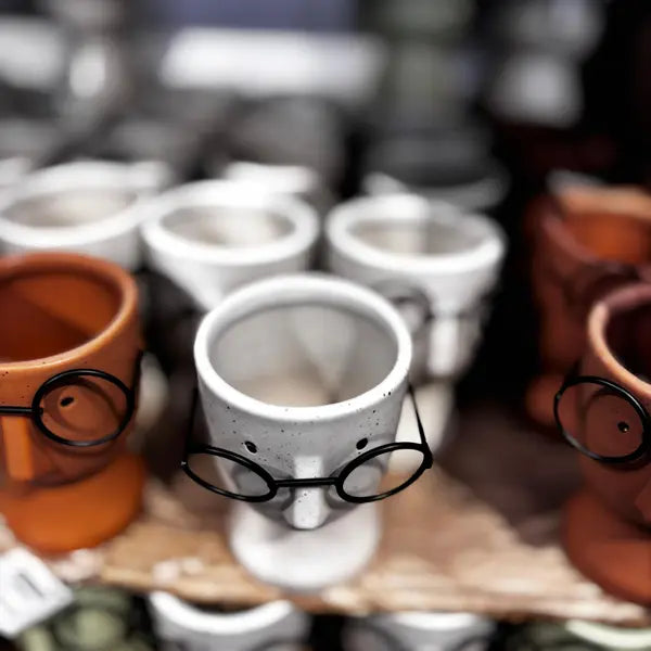 Cute Human Face Ceramic Planter – Perfect for Airplants, Succulents & More