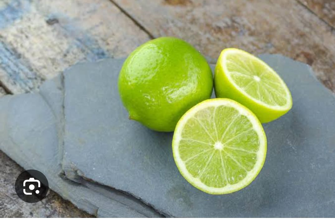 Seedless Lemon Plant - Citrus Fruit Tree - Keyfarm Wayanad