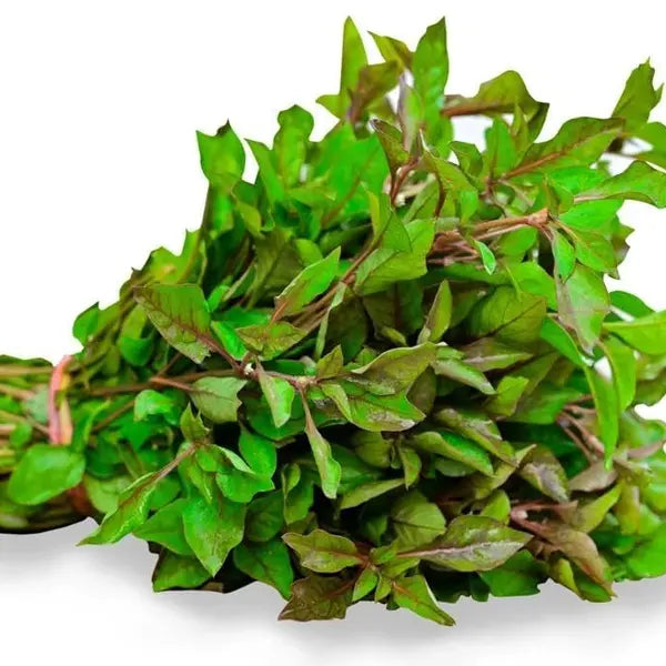 Ponnanganni Cheera, Spinach (Alternanthera sessilis)- Edible