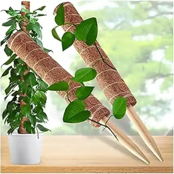 Premium 2.5 Ft Height Extendable Coco Pole - Pack of 1