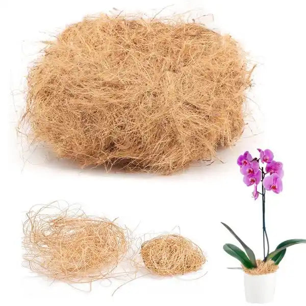 Coir Fiber – 100g