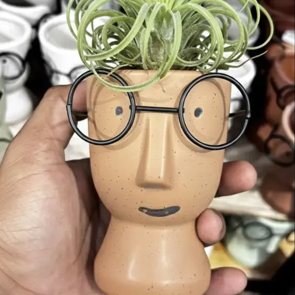 Cute Human Face Ceramic Planter – Perfect for Airplants, Succulents & More