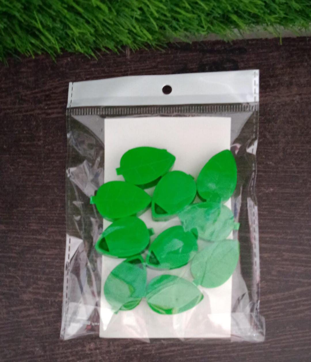 PLANT CLIMBING WALL CLIP 10 Pieces