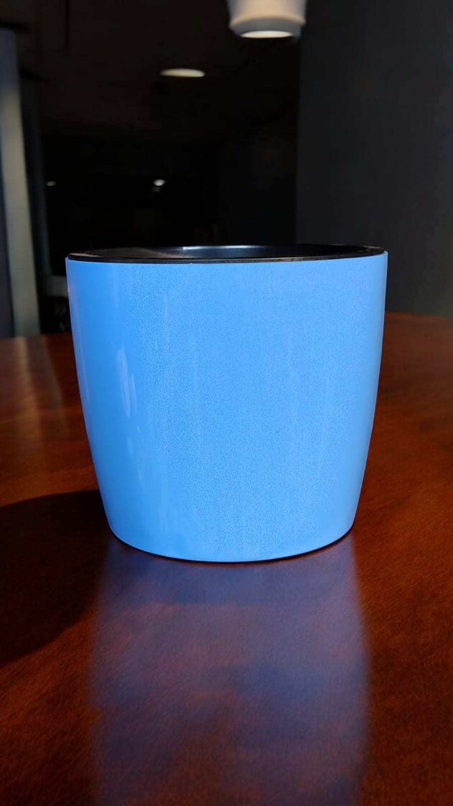 BIG SELF WATERING POT BLUE with INNER POT