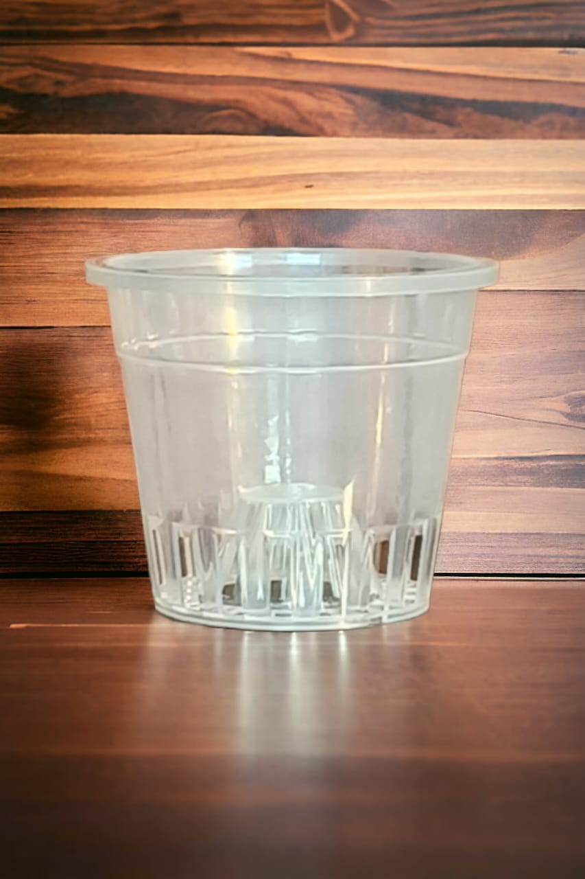 ORCHID CLEAR 4 INCH set of 5