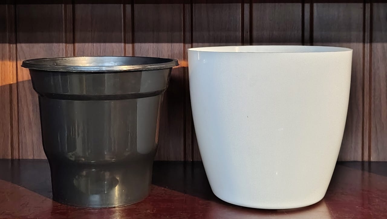 WHITE POT 8 INCH INDOOR SL