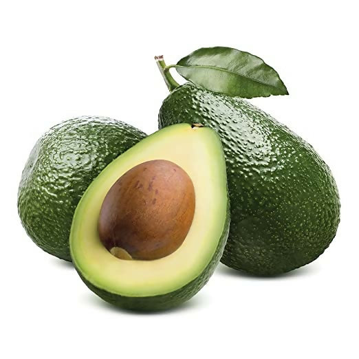 Avocado Fruit TKD1 Plants (Persea Americana)