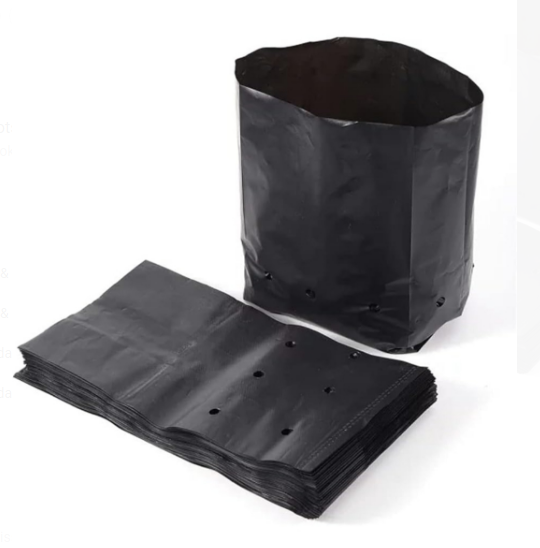 8x10 NURSERY COVER 100PC