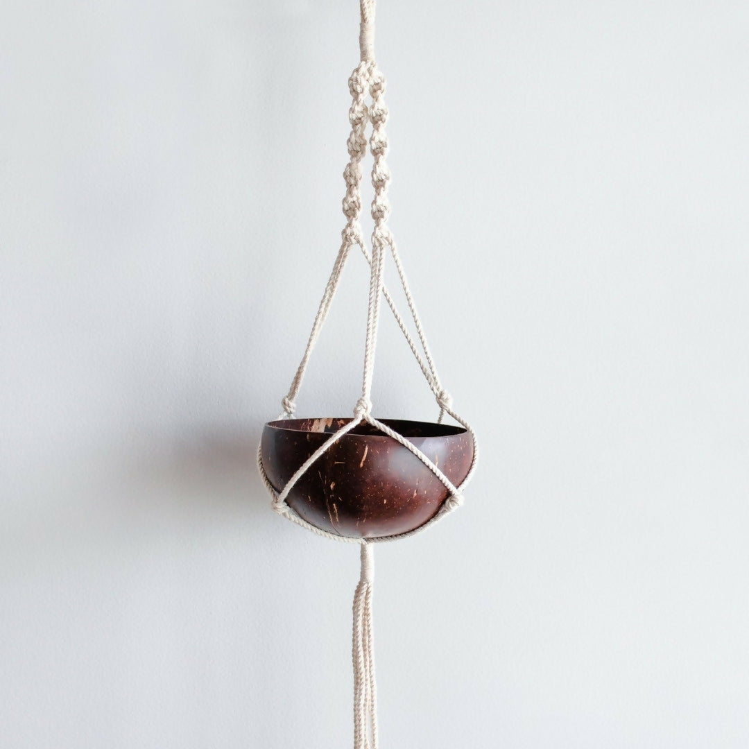 Eco-friendly Thenga Coconut Shell Macrame Plant Hanger & Pot | Ideal for Succulents, Small Cacti, Herbs and Small Plants (Set of 1) by Thenga Coco made from sustainable coconut materials