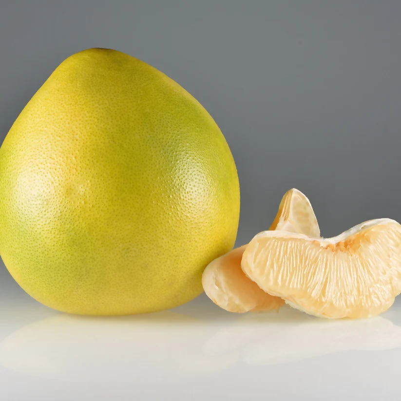 Honey pomelo (Citrus maxima) Live Plant