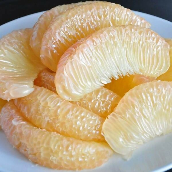 Honey pomelo (Citrus maxima) Live Plant