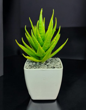 ARTIFICIAL PLANT Aloevera