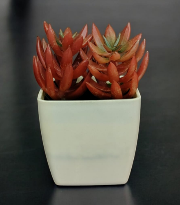 ARTIFICIAL PLANT 002