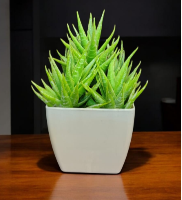 ARTIFICIAL PLANT 003