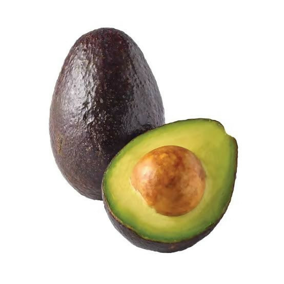 Chowta Avocado – Live Grafted Exotic Fruit Tree- chawta avocado - Keyfarm Wayanad
