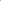 Mini Bolbitis Fern - BUSHY