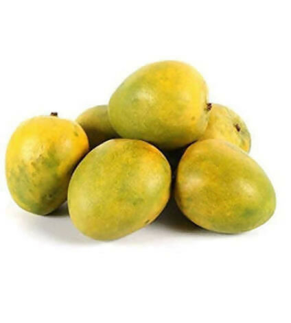 Kalapadi Mango Plant - Rare Indian Variety - Keyfarm Wayanad