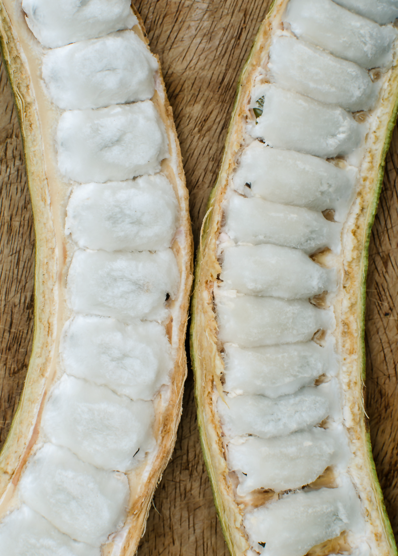 Ice Cream Bean Fruit Plants (Inga Edulis)