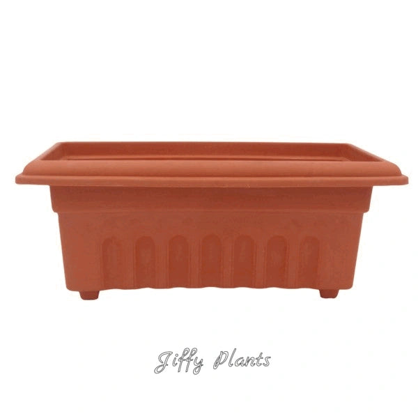 12" Rectangle Terracotta Plastic Pot (1Pc)