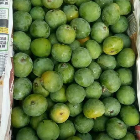 Chakkarakutty Mango / Sweet Indian Mango Plant/Sugar Baby mango - Keyfarm Wayanad