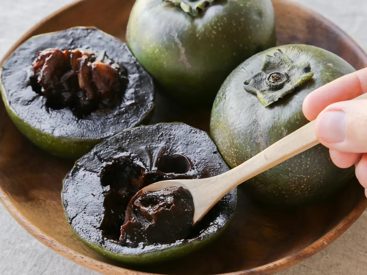 Black Sapote Fruit Plant (Diospyros Nigra)